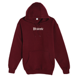 Historic Embroidered Hoodie